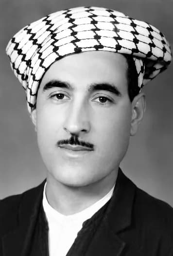 ملا عسكر امين محمد سليم قيزوا
