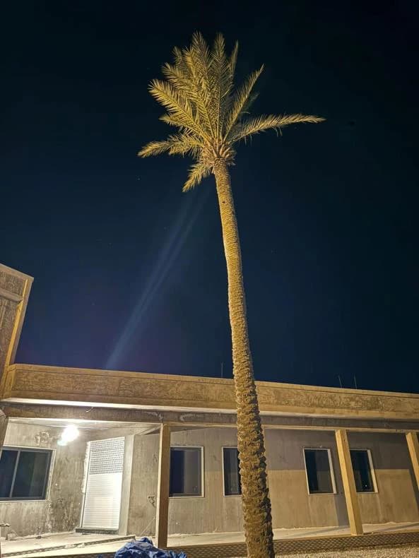 جامع ال مالي